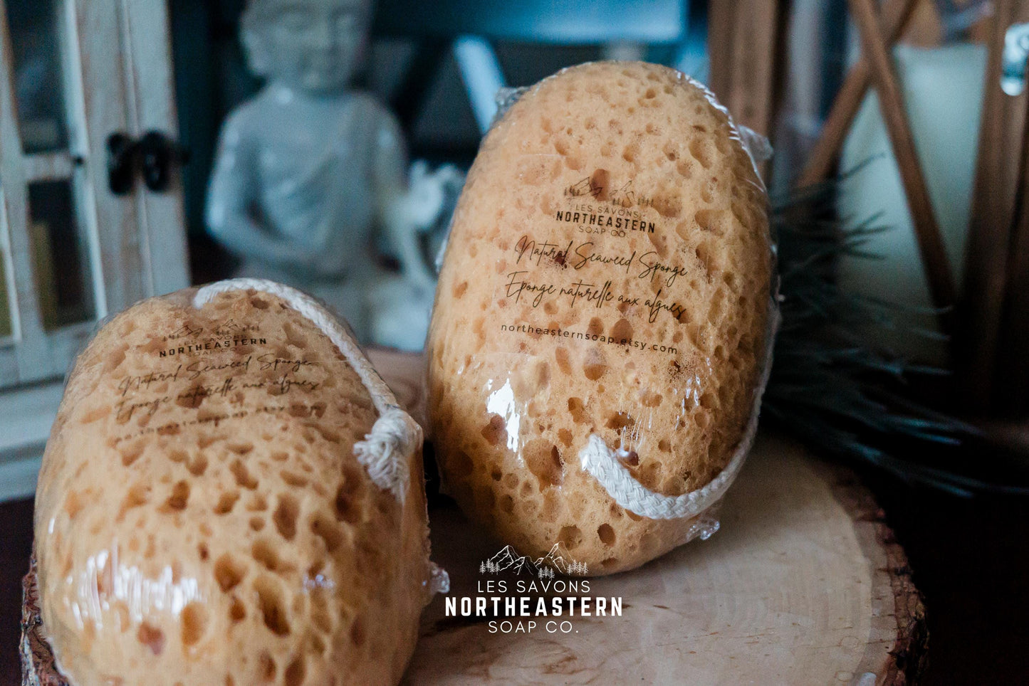EXFOLIATING SPONGE