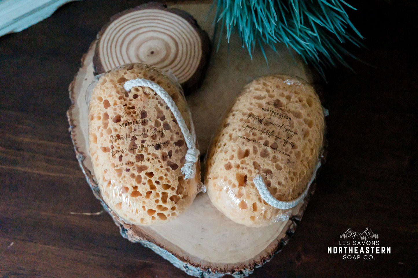 EXFOLIATING SPONGE